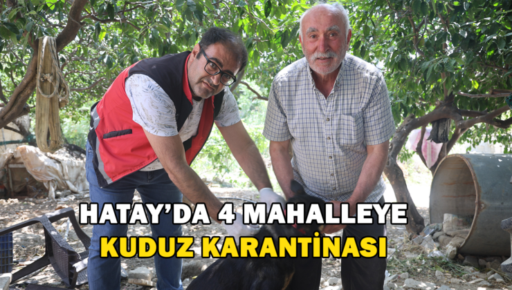 Hatay’da 4 Mahalleye Kuduz Karantinası !