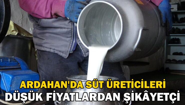 Ardahan’da süt üreticileri düşük fiyatlardan şikâyetçi