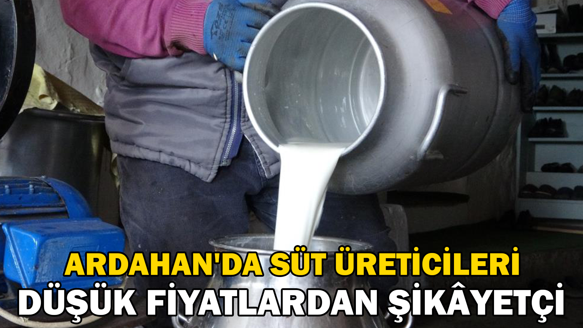 Ardahan’da süt üreticileri düşük fiyatlardan şikâyetçi