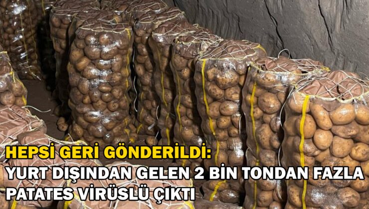 Hepsi Geri Gönderildi: Yurt Dışından Gelen 2 Bin Tondan Fazla Patates Virüslü Çıktı