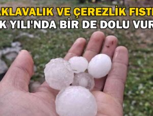 Baklavalık Ve Çerezlik Fıstığı ‘Yok Yılı’Nda Bir De Dolu Vurdu