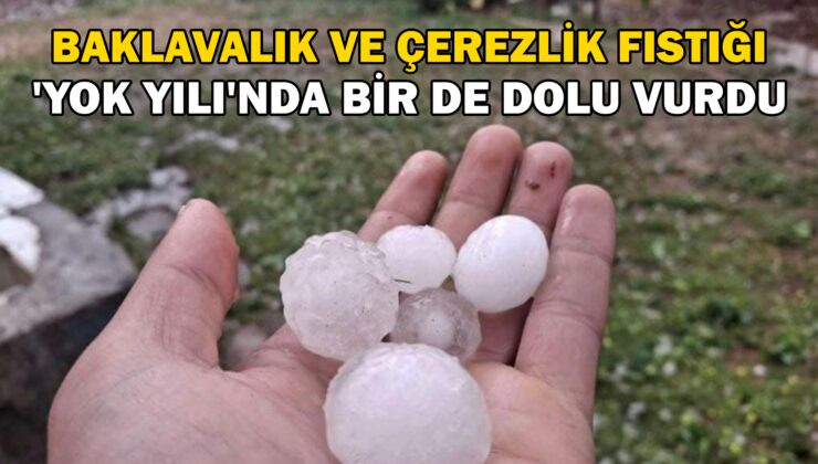 Baklavalık Ve Çerezlik Fıstığı ‘Yok Yılı’Nda Bir De Dolu Vurdu