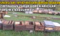 Tunceli Arı Yetiştiricileri Birliği Başkanı Doğan, “Fırtınadan zarar gören arıcılar TARSİM’e başvurmalı”