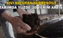Sıvı solucan gübresiyle tarımda yüzde 30 verim artışı