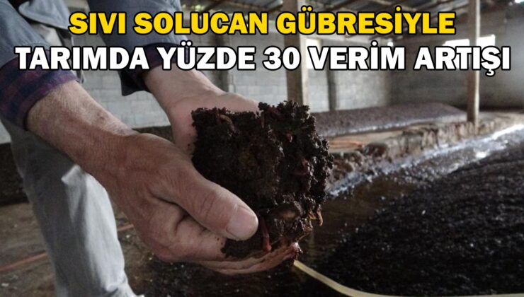 Sıvı solucan gübresiyle tarımda yüzde 30 verim artışı
