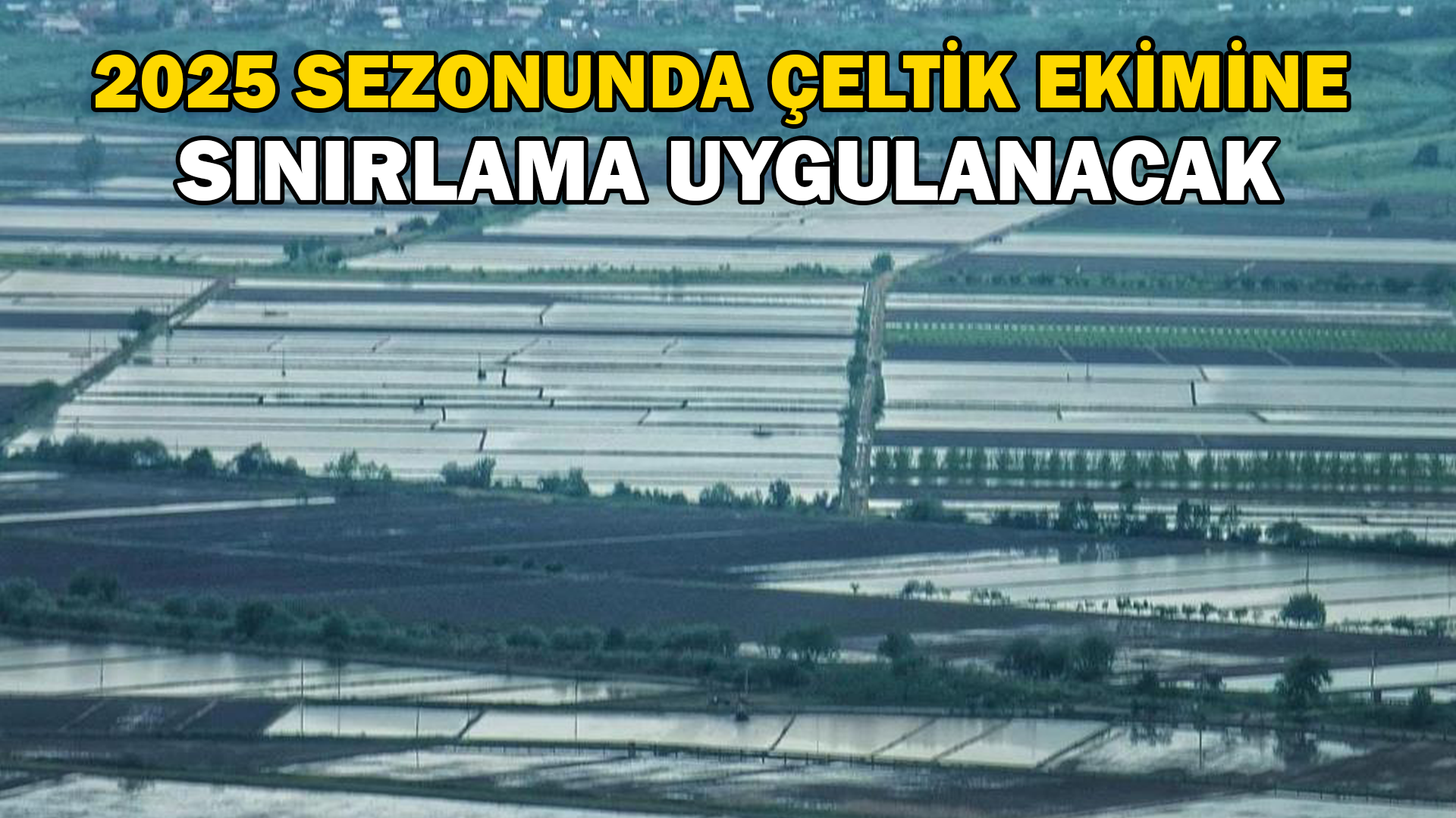 2025 sezonunda çeltik ekimine sınırlama uygulanacak