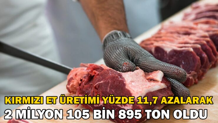 Kırmızı Et Üretimi 2024 Yılında Yüzde 11,7 Azalarak 2 Milyon 105 Bin 895 Ton Oldu