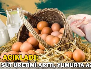 Et Ve Süt Üretimi Arttı, Yumurta Azaldı