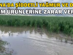 Adana’Da Şiddetli Yağmur Ve Dolu, Tarım Ürünlerine Zarar Verdi