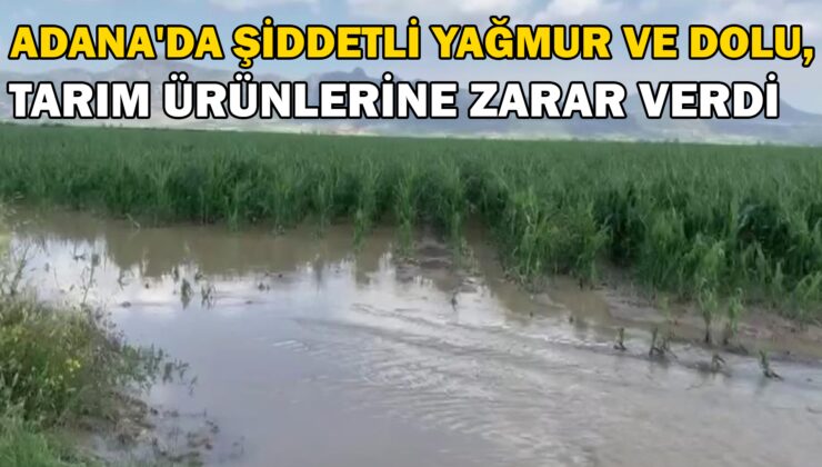 Adana’Da Şiddetli Yağmur Ve Dolu, Tarım Ürünlerine Zarar Verdi