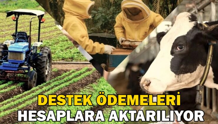Destek Ödemeleri Hesaplara Aktarılıyor  
