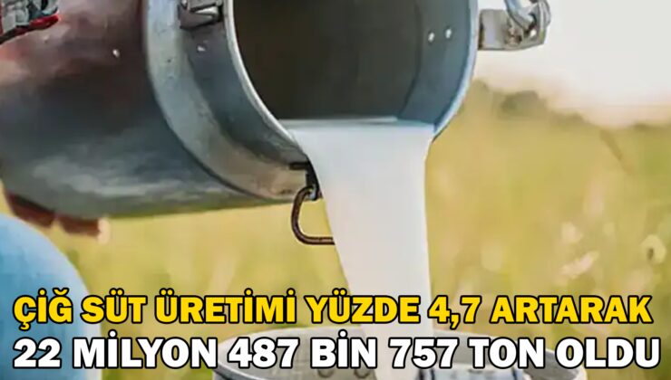 Çiğ süt üretimi 2024 yılında yüzde 4,7 artarak 22 milyon 487 bin 757 ton oldu