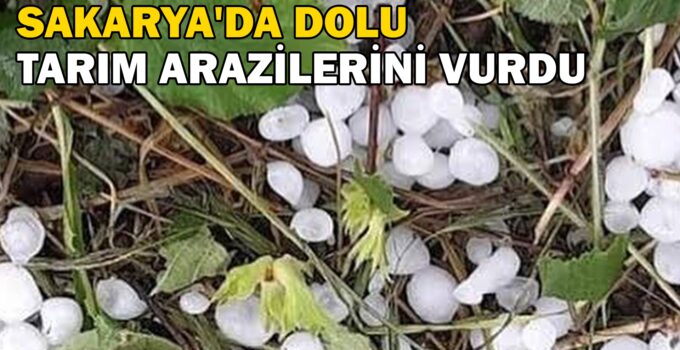 Sakarya’da dolu tarım arazilerini vurdu