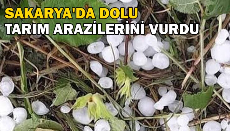 Sakarya’Da Dolu Tarım Arazilerini Vurdu
