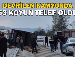 Devrilen Kamyonda 53 Koyun Telef Oldu