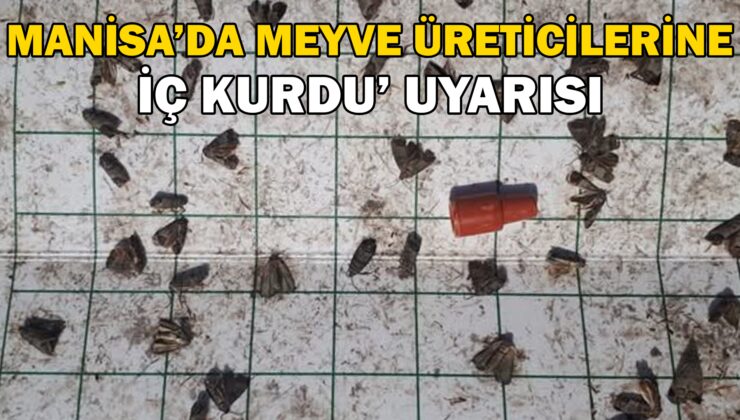 Manisa’da Meyve Üreticilerine ‘Iç Kurdu’ Uyarısı