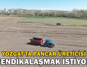Yozgat’ta şeker pancarı üreticisi sendikalaşmak istiyor