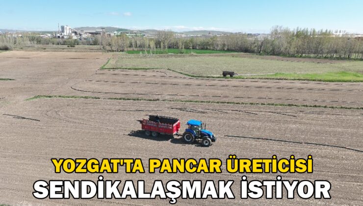Yozgat’ta şeker pancarı üreticisi sendikalaşmak istiyor