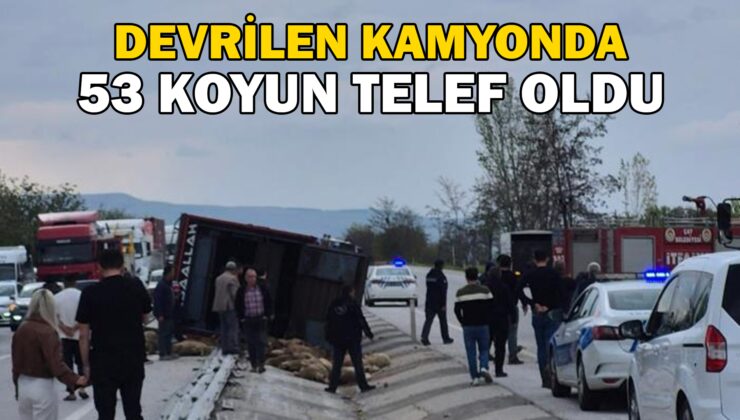 Devrilen Kamyonda 53 Koyun Telef Oldu