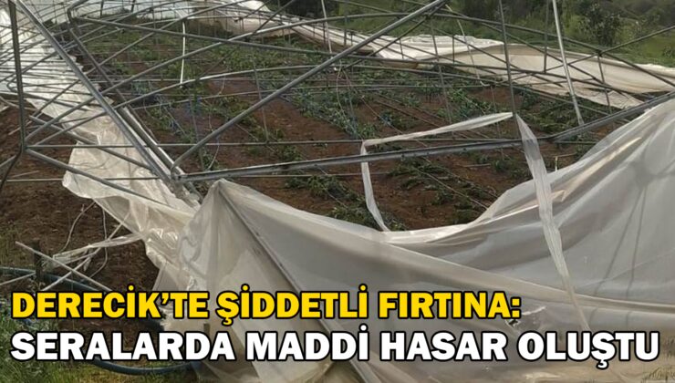 Derecik’te şiddetli fırtına: Seralarda maddi hasar oluştu