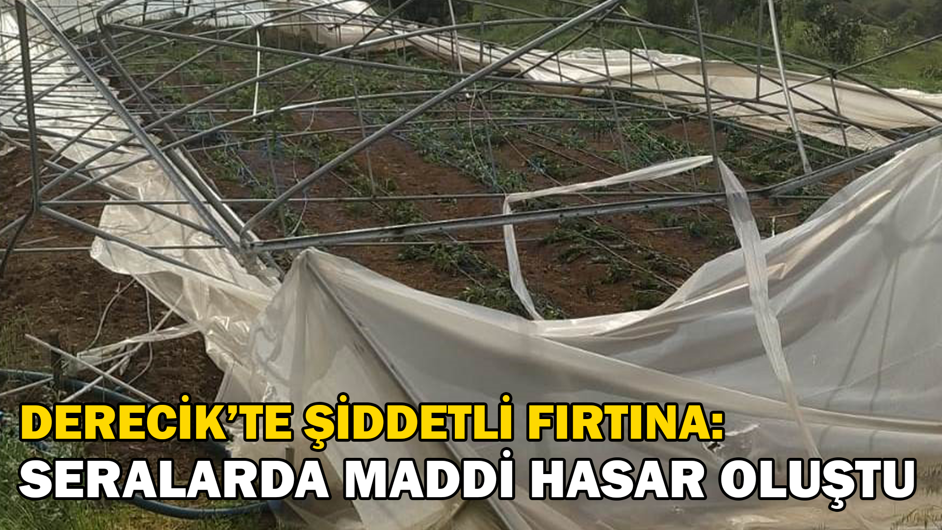 Derecik’te şiddetli fırtına: Seralarda maddi hasar oluştu