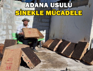 Adana Usulü Sinekle Mücadele