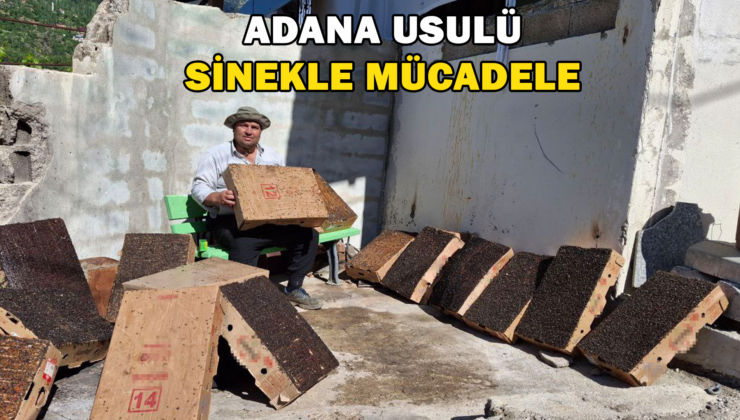 Adana Usulü Sinekle Mücadele