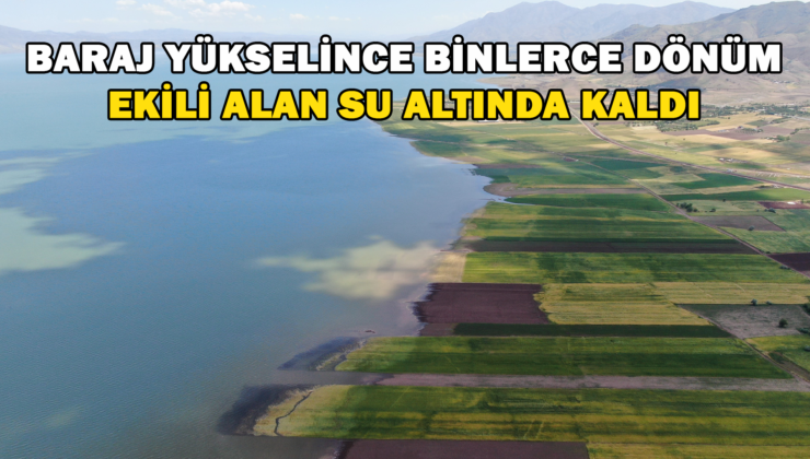 Baraj Yükselince Binlerce Dönüm Ekili Alan Su Altında Kaldı