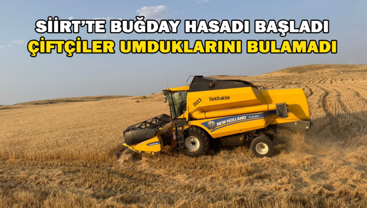 Siirt’te Buğday Hasadı Başladı Çiftçiler Umduklarını Bulamadı