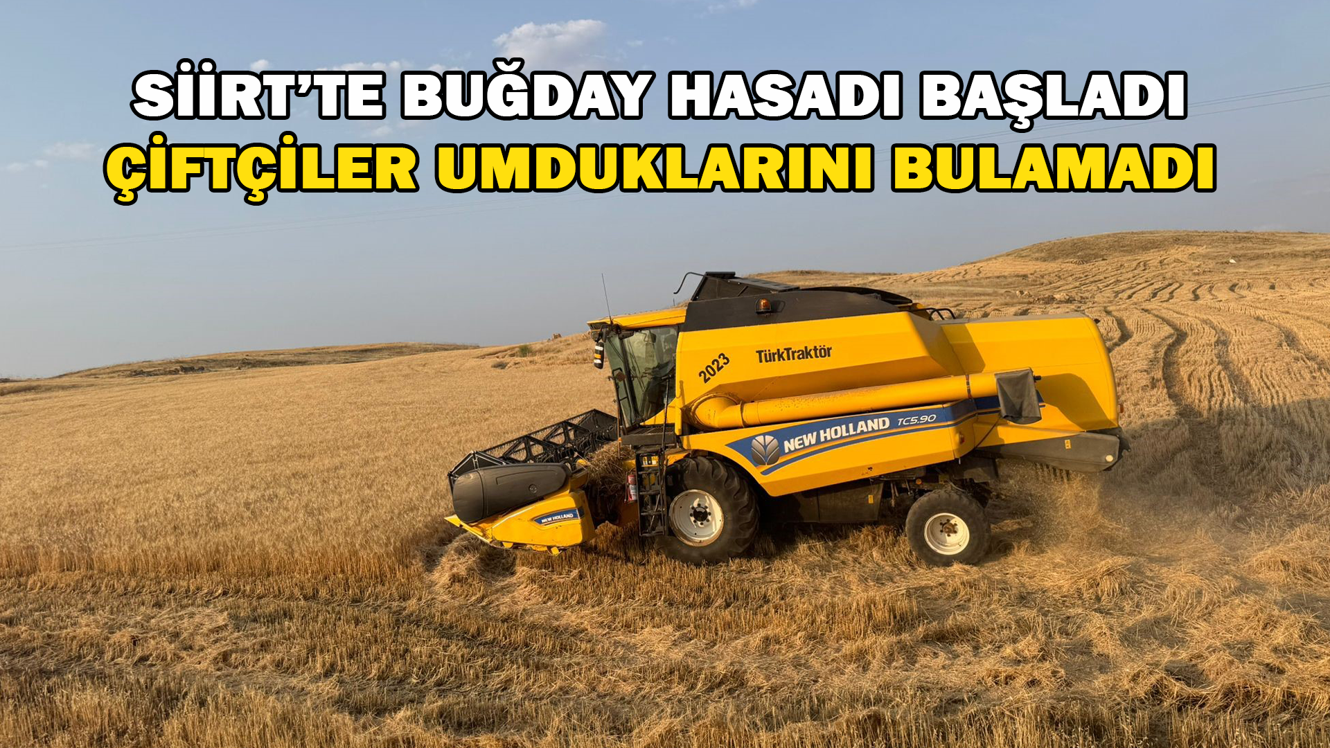Siirt’te Buğday Hasadı Başladı Çiftçiler Umduklarını Bulamadı
