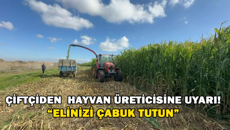 Çiftçiden Hayvan Üreticisine Uyarı! “Elinizi Çabuk Tutun”