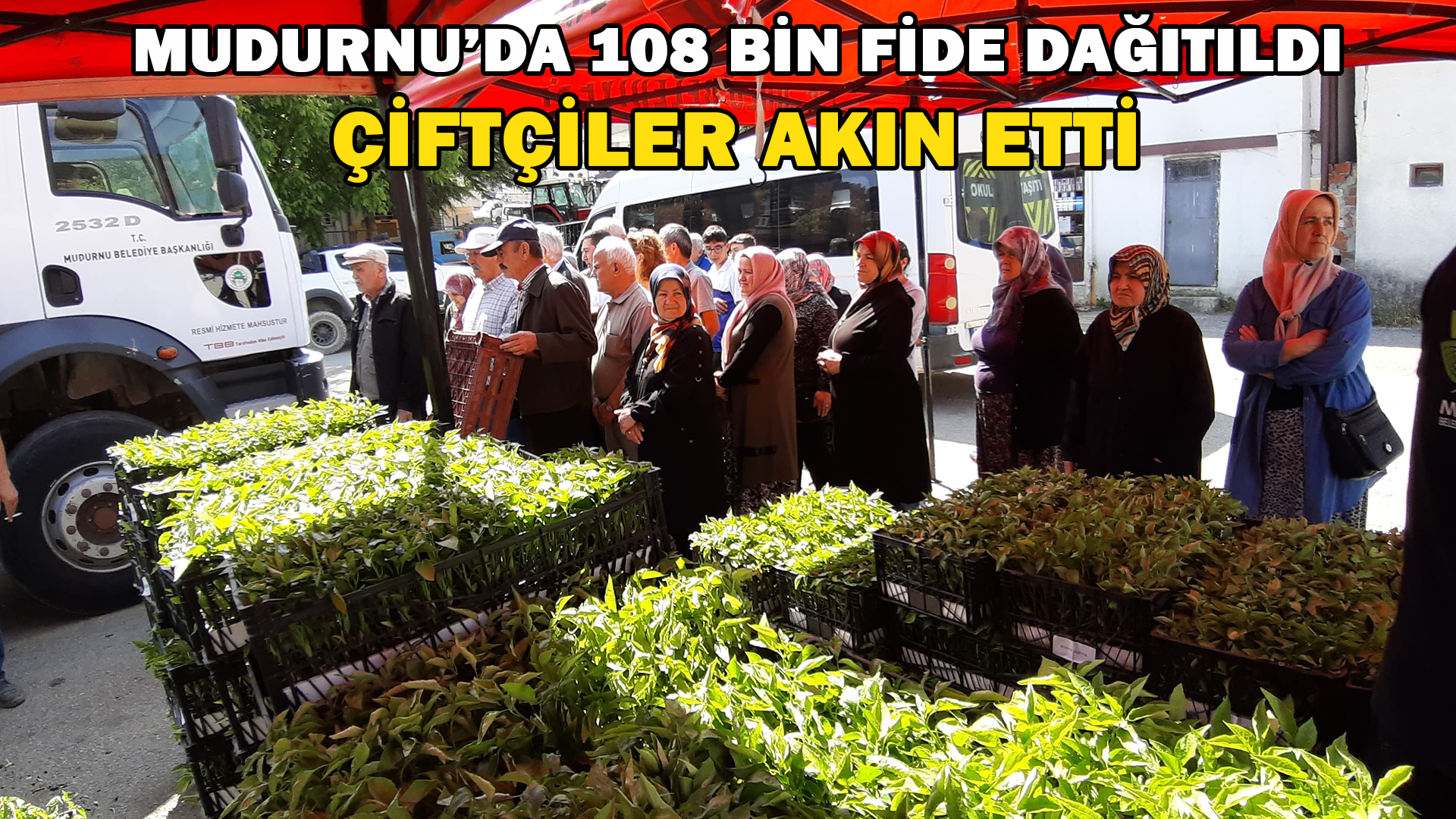 Mudurnu’da 108 Bin Fide Dağıtıldı, Çiftçiler Akın Etti
