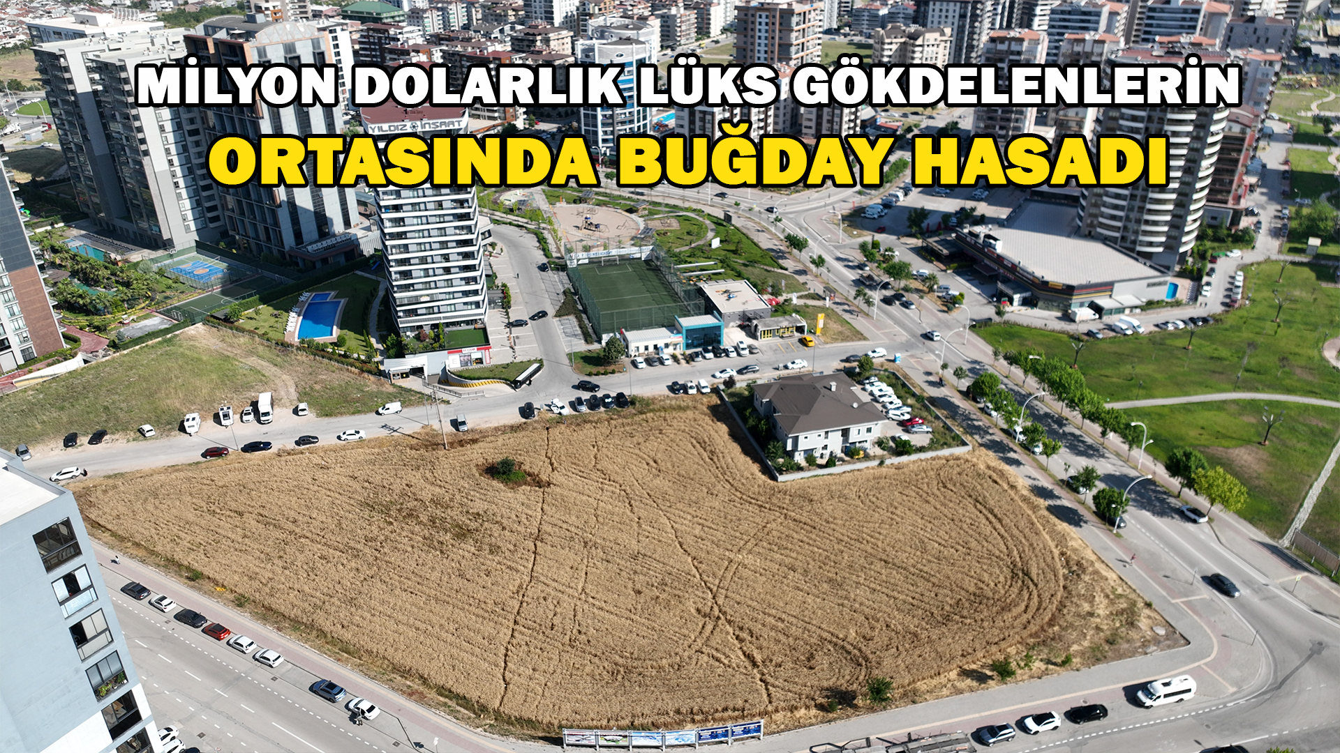 Milyon Dolarlık Lüks Gökdelenlerin Ortasında Buğday Hasadı