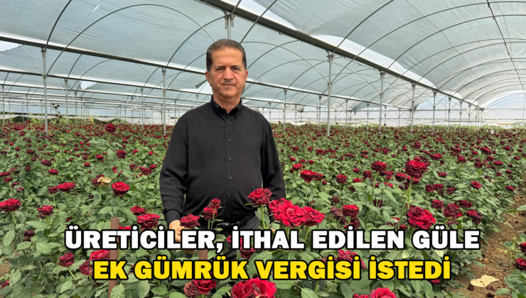 Üreticiler, İthal Edilen Güle Ek Gümrük Vergisi İstedi
