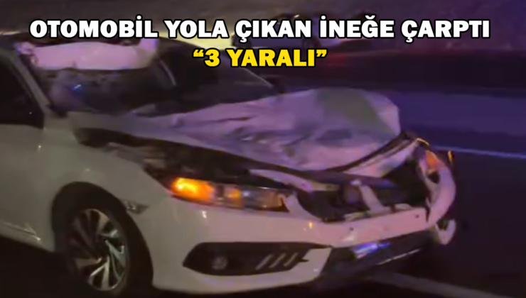 Otomobil Yola Çıkan İneğe Çarptı : 3 Yaralı