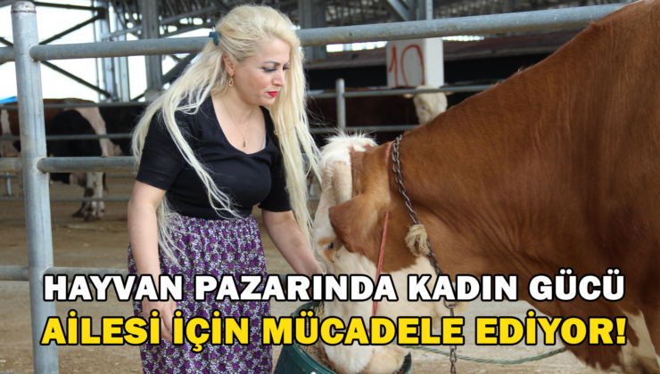Hayvan Pazarında Kadın Gücü: Ailesi İçin Mücadele Ediyor