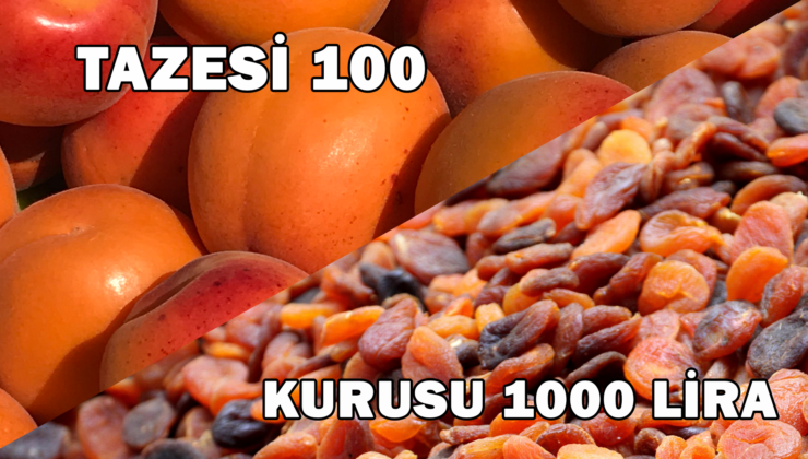 Tazesi 100 Kurusu 1000 Lira!