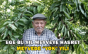 Ege Bu Yıl Meyveye Hasret, Meyvede “Yok” Yılı