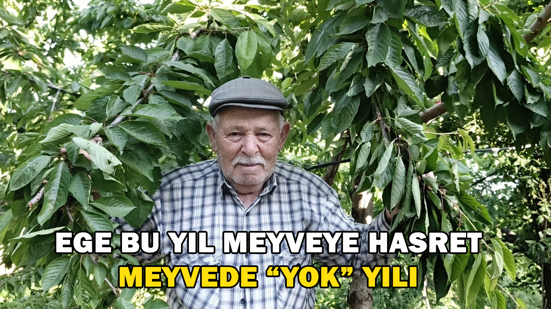 Ege Bu Yıl Meyveye Hasret, Meyvede “Yok” Yılı
