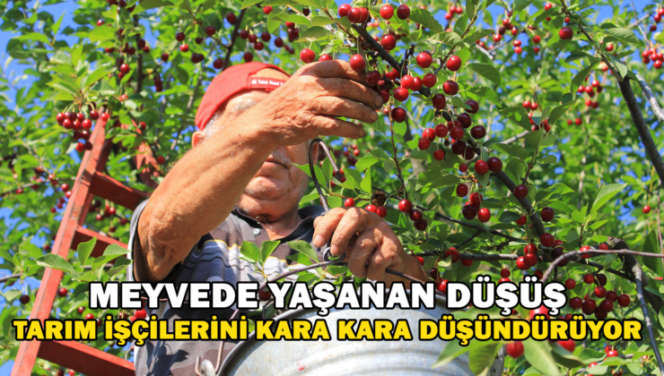Meyvede Yaşanan Düşüş Tarım İşçilerini Kara Kara Düşündürüyor