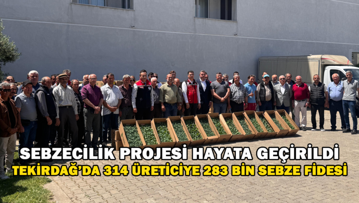 Tekirdağ’da 314 Üreticiye 283 Bin Sebze Fidesi Dağıtıldı