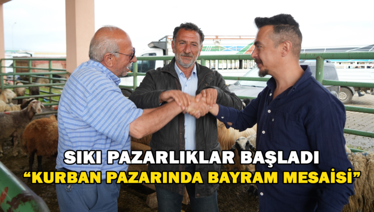 Muş’Ta Kurban Pazarı Hareketlendi: Sıkı Pazarlıklar Dikkat Çekiyor