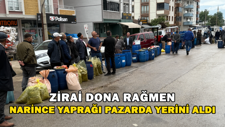 Dona Rağmen Narince Yaprağı Pazardaki Yerini Aldı
