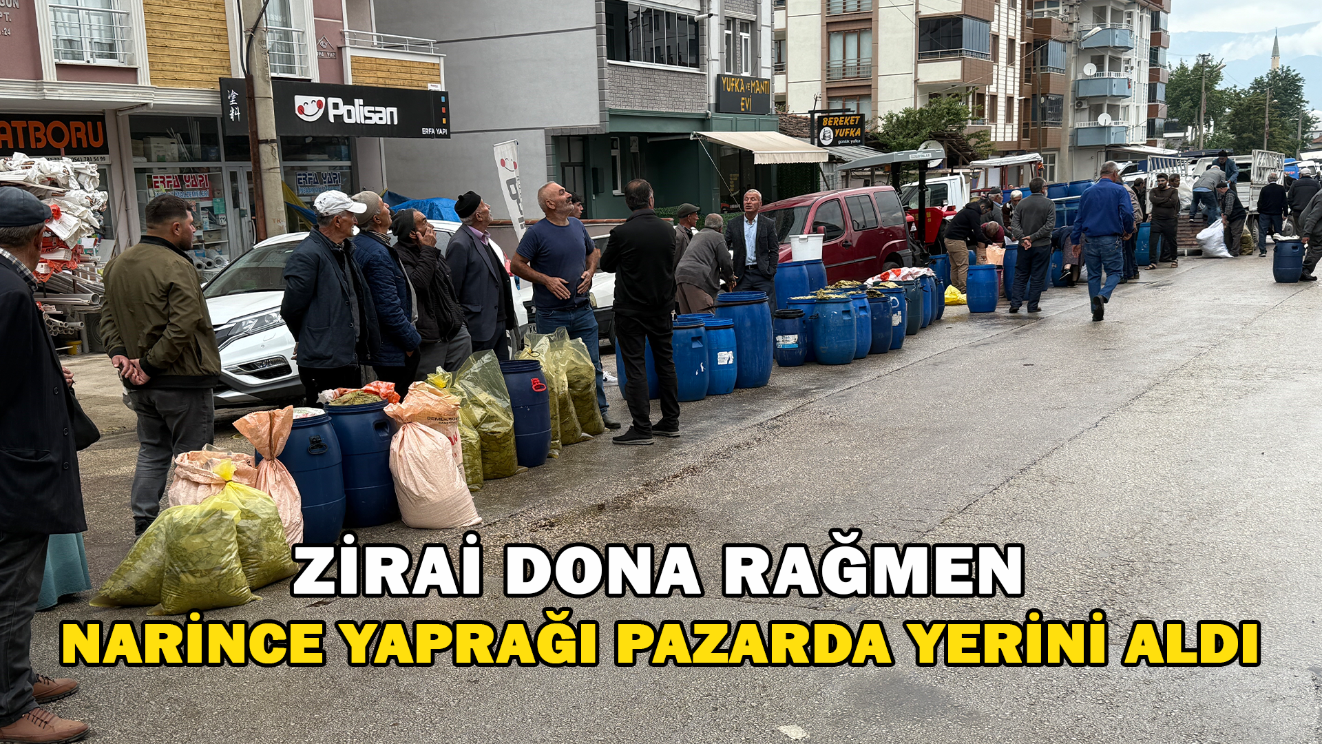 Dona Rağmen Narince Yaprağı Pazardaki Yerini Aldı