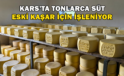 Kars’ta Tonlarca Süt, Eski Kaşar İçin İşleniyor