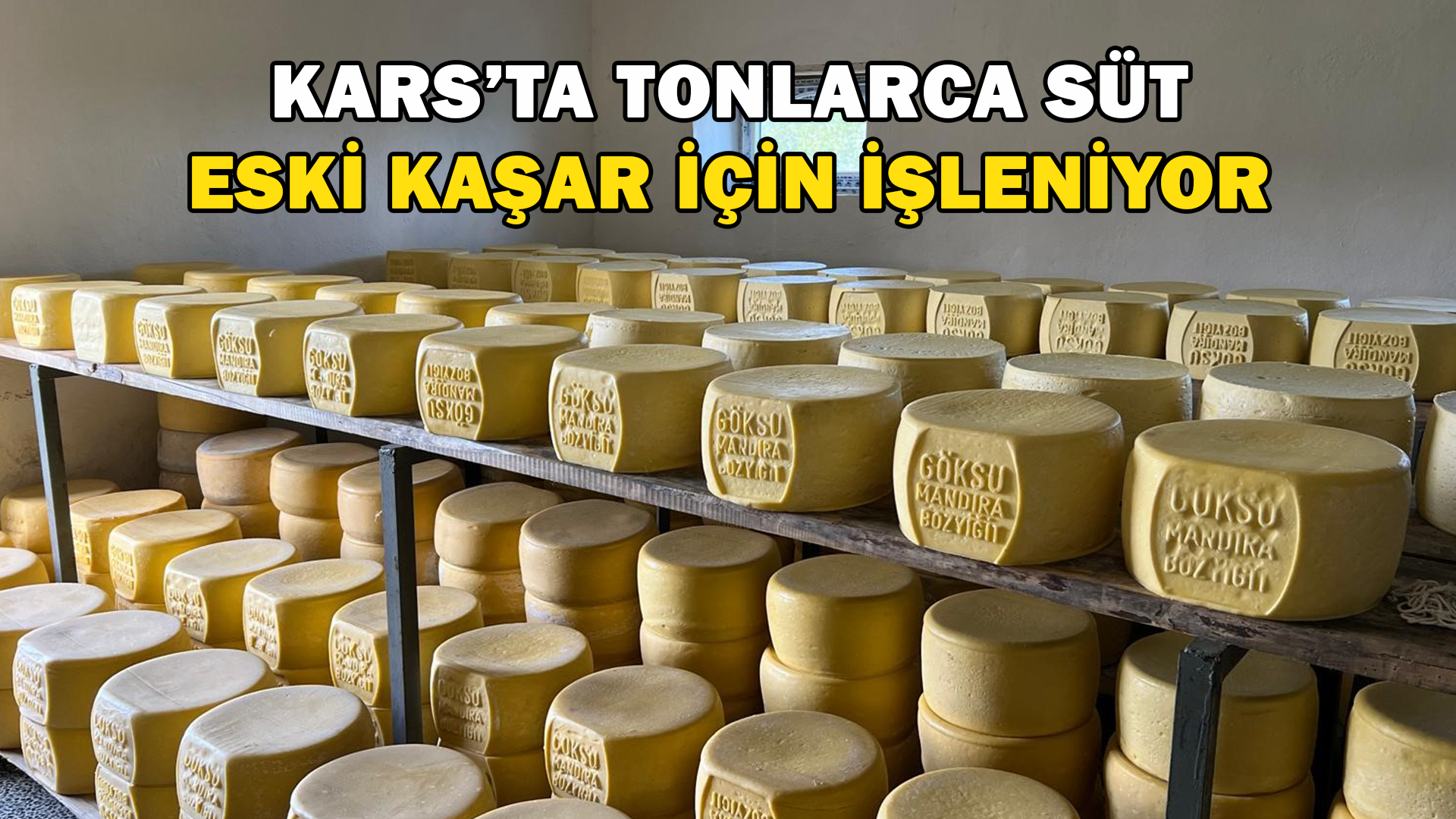 Kars’ta Tonlarca Süt, Eski Kaşar İçin İşleniyor
