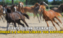 Fiyatı Dudak Uçuklattı Litresi 2.5 Milyon Liraya Yok Satıyor