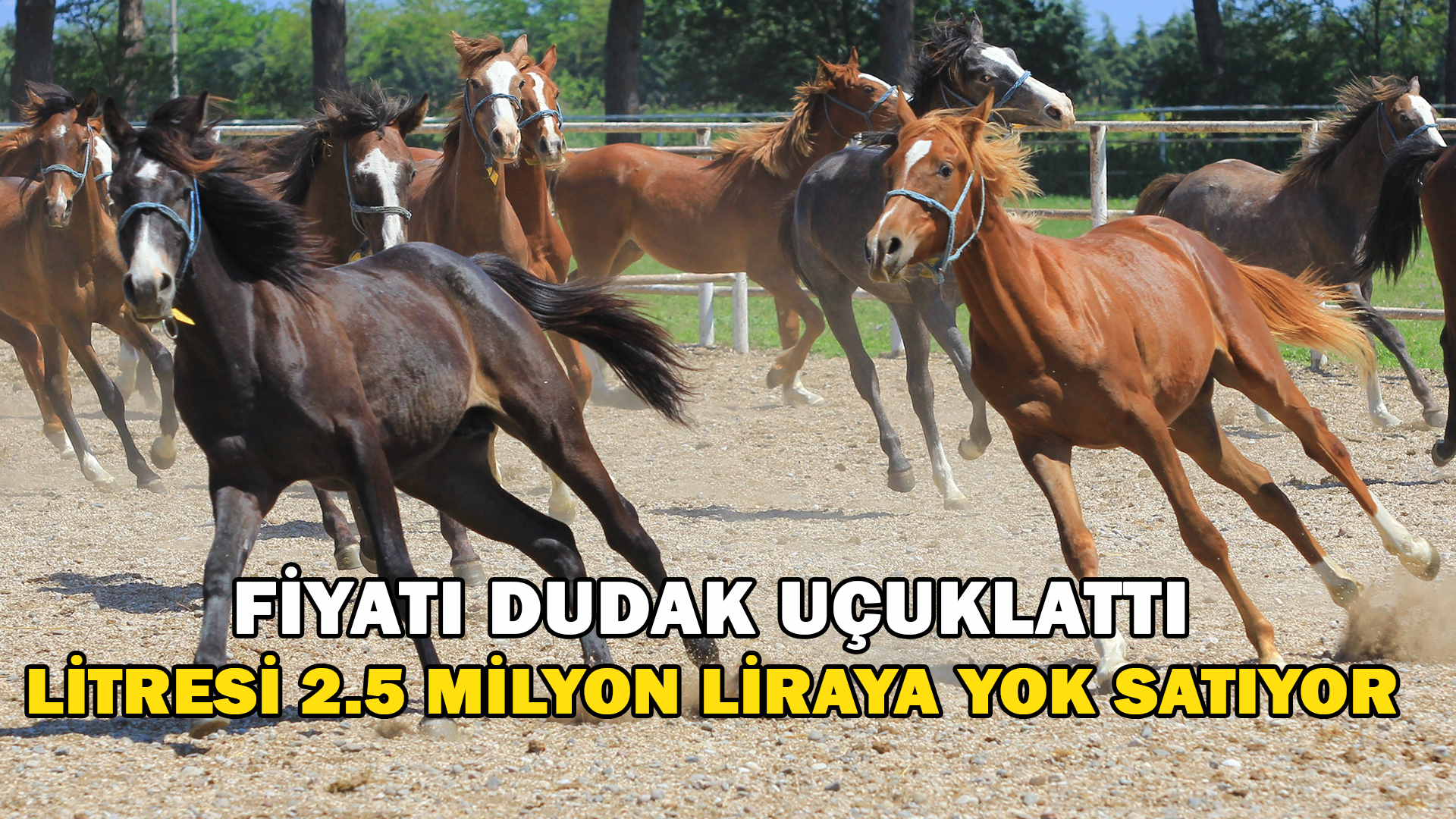 Fiyatı Dudak Uçuklattı Litresi 2.5 Milyon Liraya Yok Satıyor