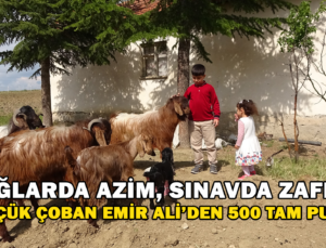Boş Vakitlerinde Çobanlık Yapan 11 Yaşındaki Emir Ali Dişlioğlu, Bursluluk Sınavından 500 Tam Puan Aldı