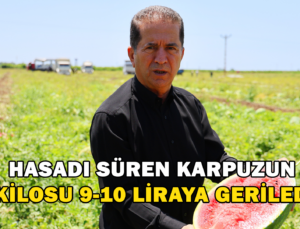 Hasadı Süren Karpuzun Kilosu 9-10 Liraya Geriledi